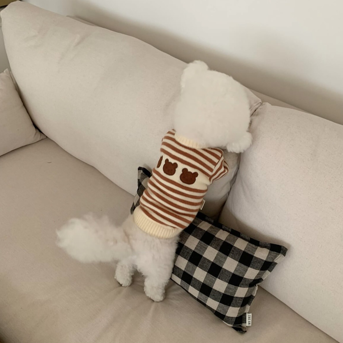 ins韩国保暖宠物针织毛衣服秋冬加厚中小型犬狗狗猫咪泰迪批发pet详情16