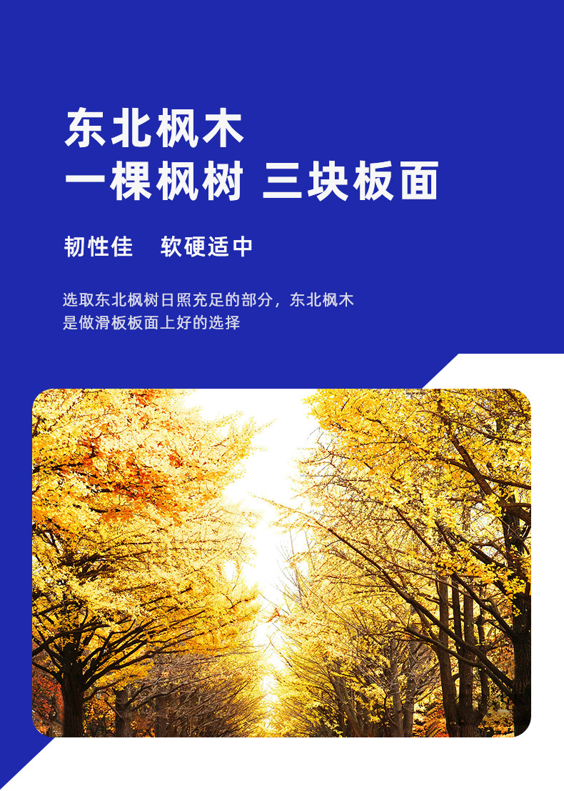 四轮滑板儿童初学者男孩女生大童10成人专业板3双翘滑板车6一12岁详情14