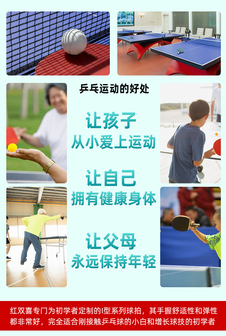 红双喜初学乒乓球拍一二三四星学生儿童成人训练专业兵乓球拍正品详情3