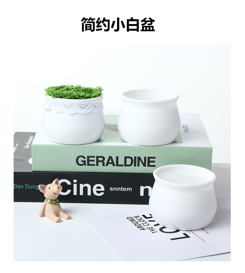 工厂直销塑料花盆简约圆形盆景防摔迷你花盆毛线扭扭棒仿真小花盆详情2