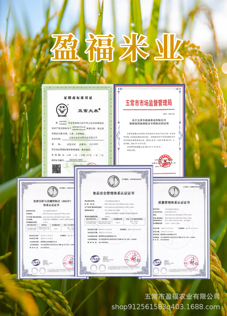 【田里乡间】2024年新米上市 正宗五常大米东北长粒香大米 多规格详情1
