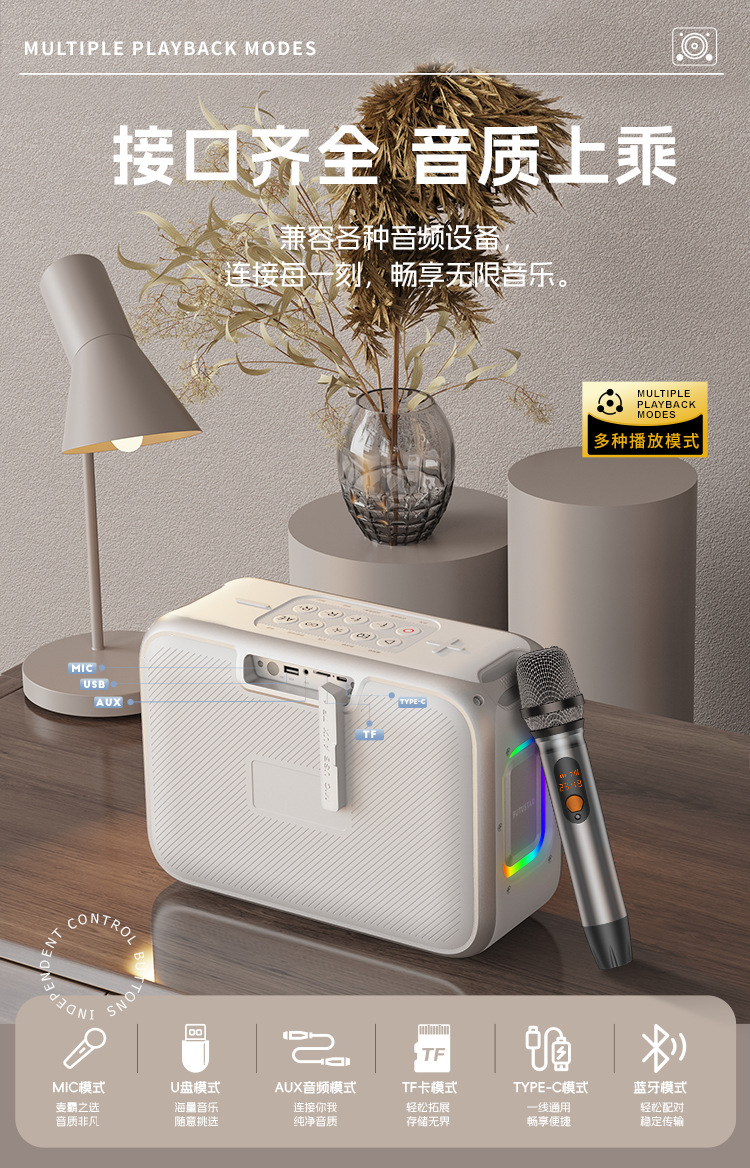 AEMAI户外高音质K歌蓝牙音箱手提便携可充电带无线麦克风广场舞详情13