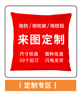 来图来样印制抱枕套企业logo靠垫被子活动广告抱枕卡通礼品批发详情2