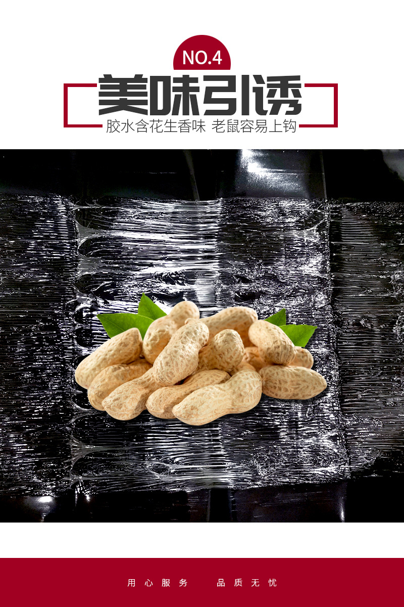 强力灭鼠魔毯批发粘鼠板老鼠贴粘鼠魔毯老鼠笼捕鼠器老鼠夹笼家用详情6