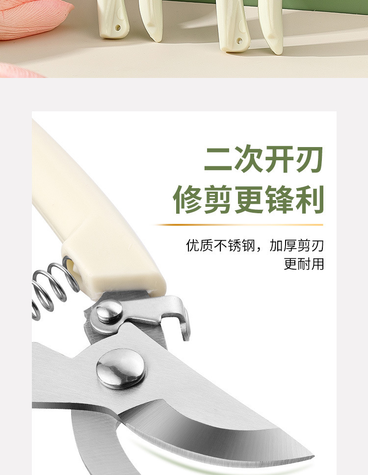修枝剪套装园艺剪园林弯头剪花园剪刀摘果剪弹簧手动工具省力剪刀详情2