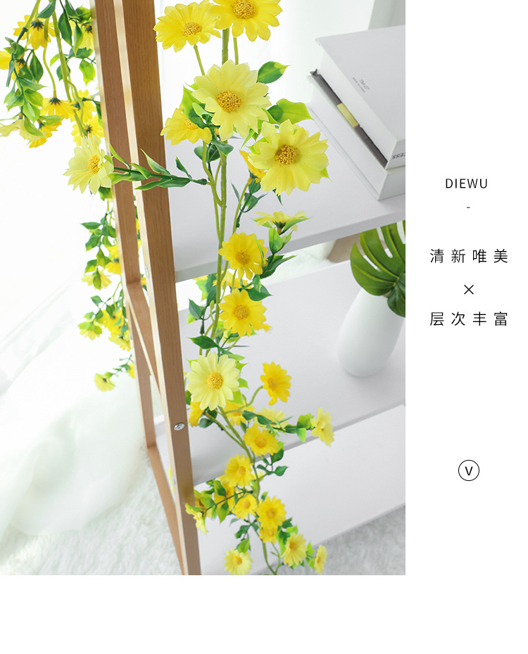 小雏菊---副本_07.jpg