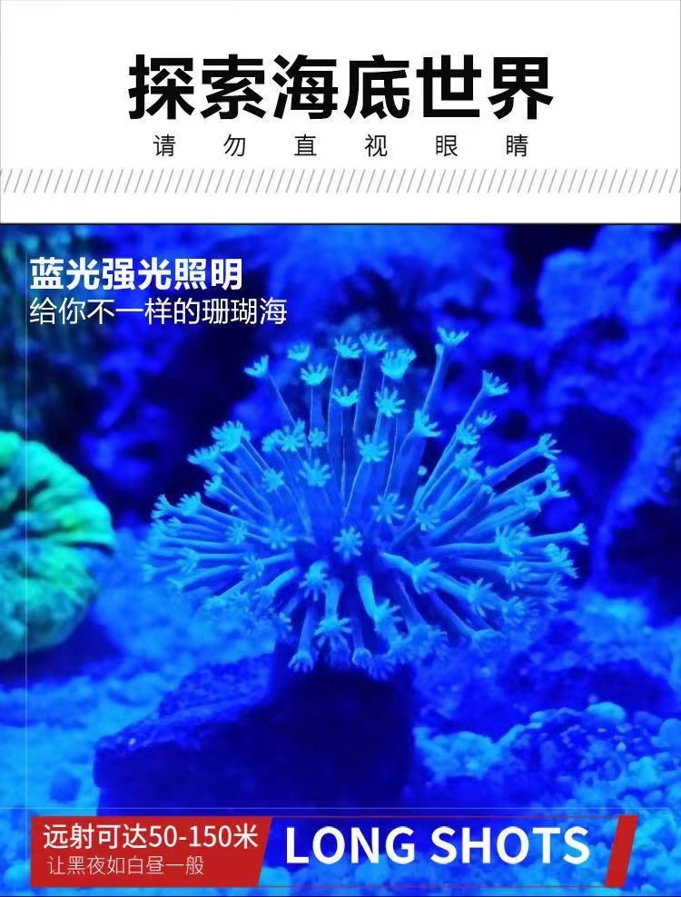 USB直充白黄蓝紫四光源强光手电筒紫光灯检测防伪固化蓝光夜钓灯详情10