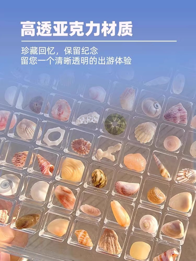亚克力贝壳收纳盒透明微型石头海边标本相框展示收藏昆虫收集盒子详情1