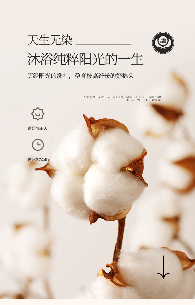 轻奢120支长绒棉床上四件套全棉纯棉刺绣款床单被套南通家纺4件套详情4