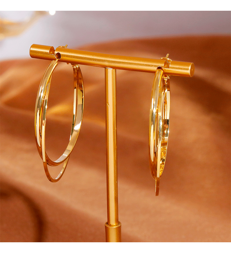 Hyacinth moda personalidad metal doble anillo aretes mujeres luz lujo alto sentido temperamento orejeras grandes orejeras de círculo orejeras hebillas pic 5