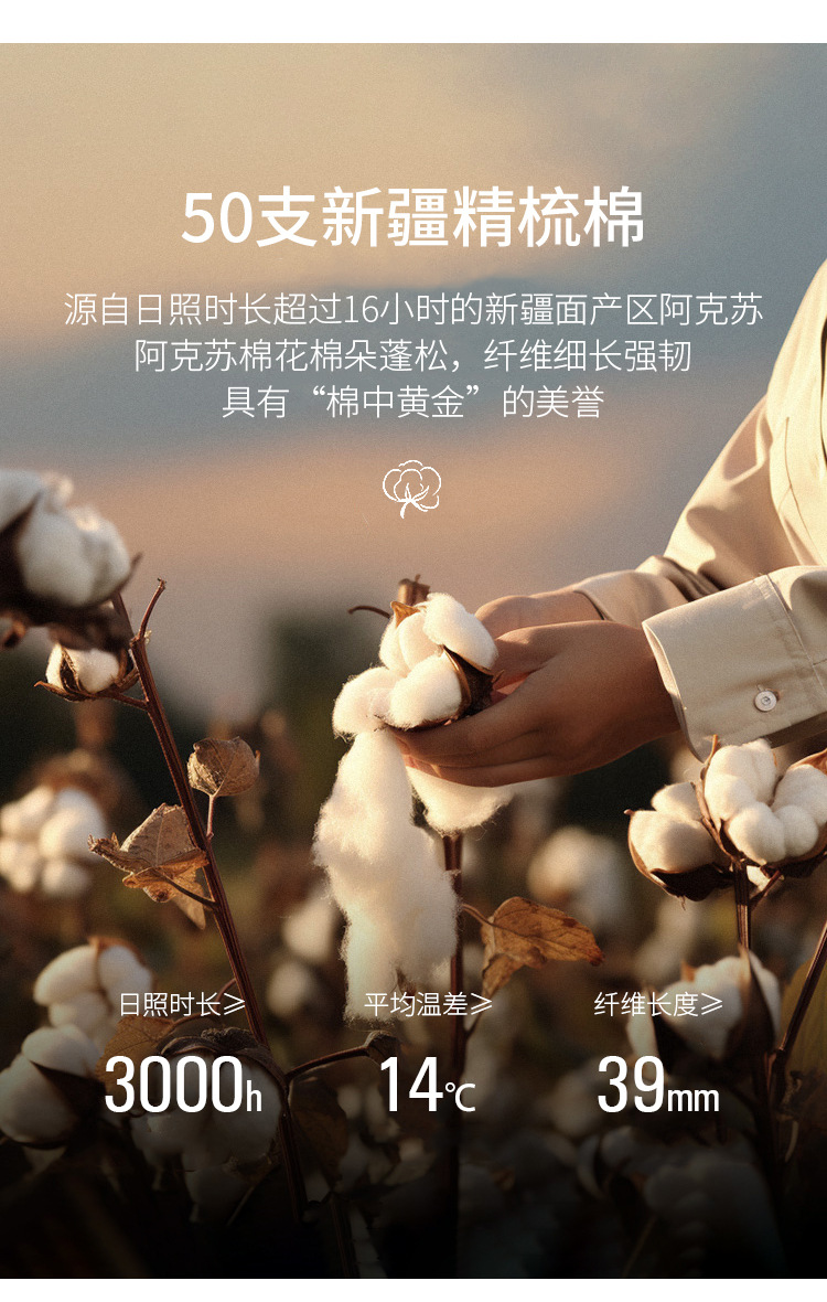 秋季新款阔腿弯刀裤女2025小众高级休闲裤修身通勤高档香蕉裤女详情8