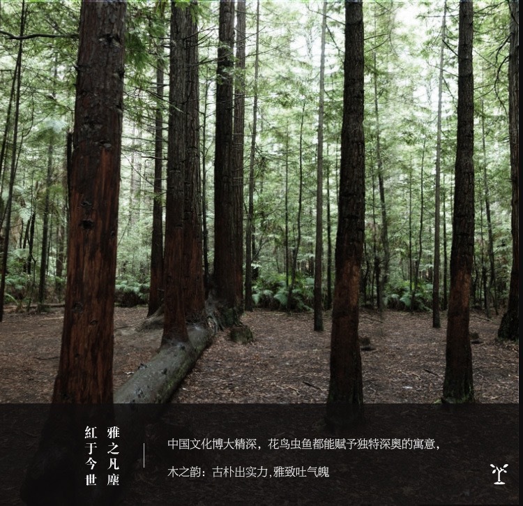 跨境创意迷你木质小勺子长柄调料咖啡蜂蜜勺食品级木勺子批发定制详情2