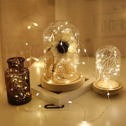 串灯装饰灯2032纽扣灯灯铜丝灯圣诞灯串小灯灯带串串灯灯带礼物灯详情3