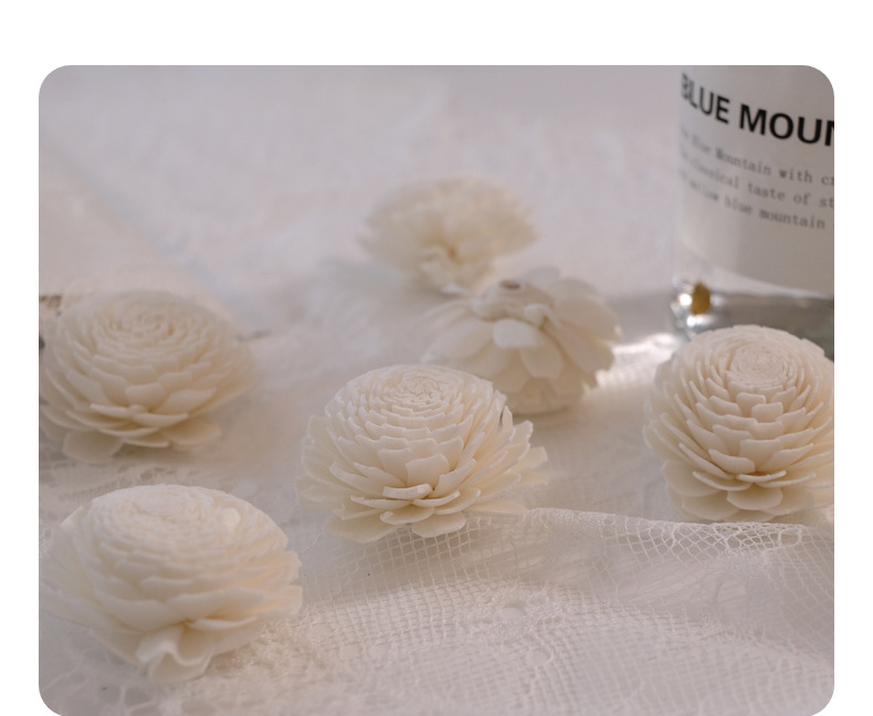 Wholesale of cross-border diffuser sticks, flameless aromatherapy plant rattan evaporation sticks, deodorizing flower water, perfume, and aromatherapy stick accessories pic 10