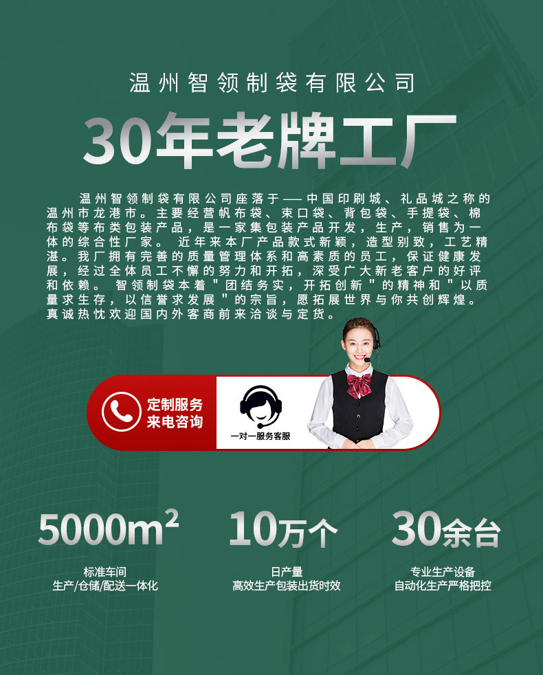 Customized canvas bags, hand-held non-woven bags, large-capacity shopping bags for students, best-selling items on Xiaohongshu, in an ins style pic 2
