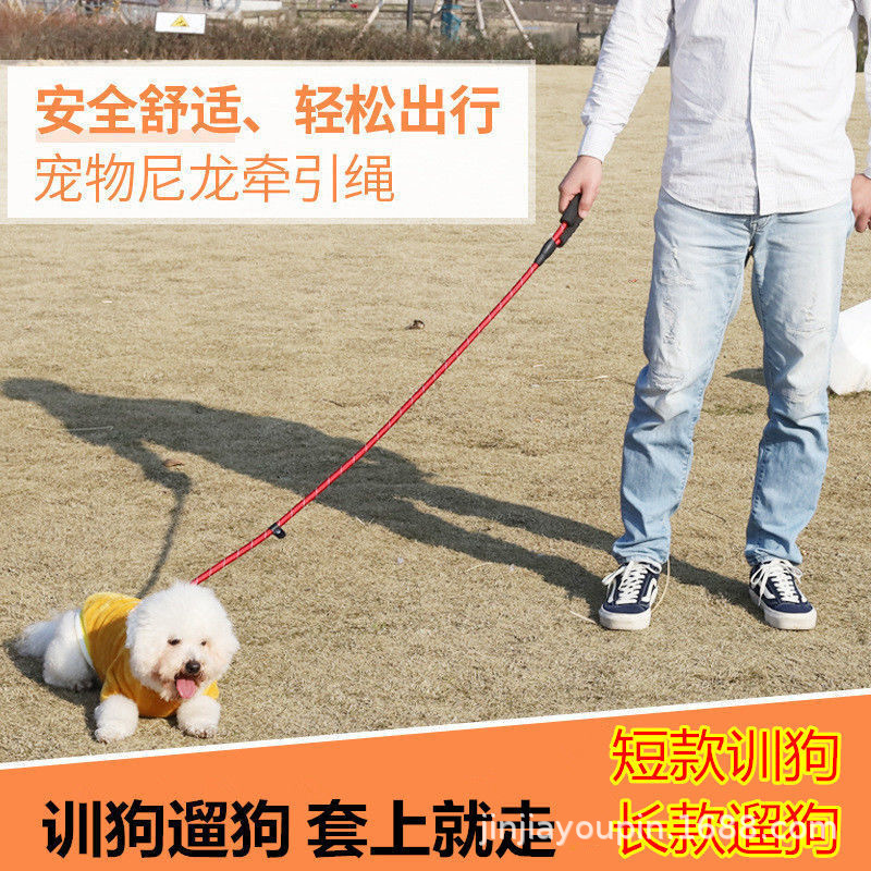 Pet dog leash chain supplies, P-chain dog walking leash, explosion-proof p leash, medium and large-sized golden Retriever pic 10