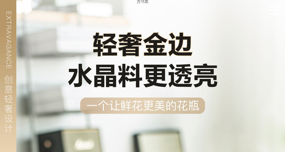 简约轻奢加厚ins风透明玻璃花瓶水养富贵竹鲜花插花客厅摆件批发详情2