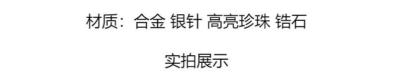 小众设计感珍珠耳环锆石轻奢风高级感925银针韩版春夏新款个性女~详情3