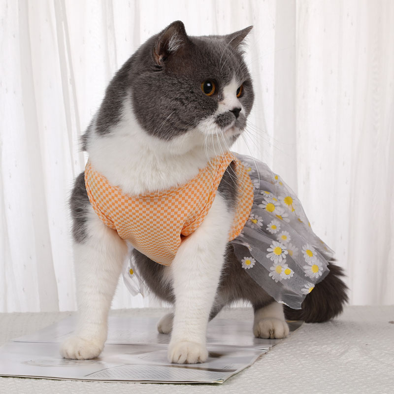 Season 4 universal Bichon Frise Teddy pet chiffon skirt, Yorkshire Schnauzer small dog clothing, pet clothing pic 8