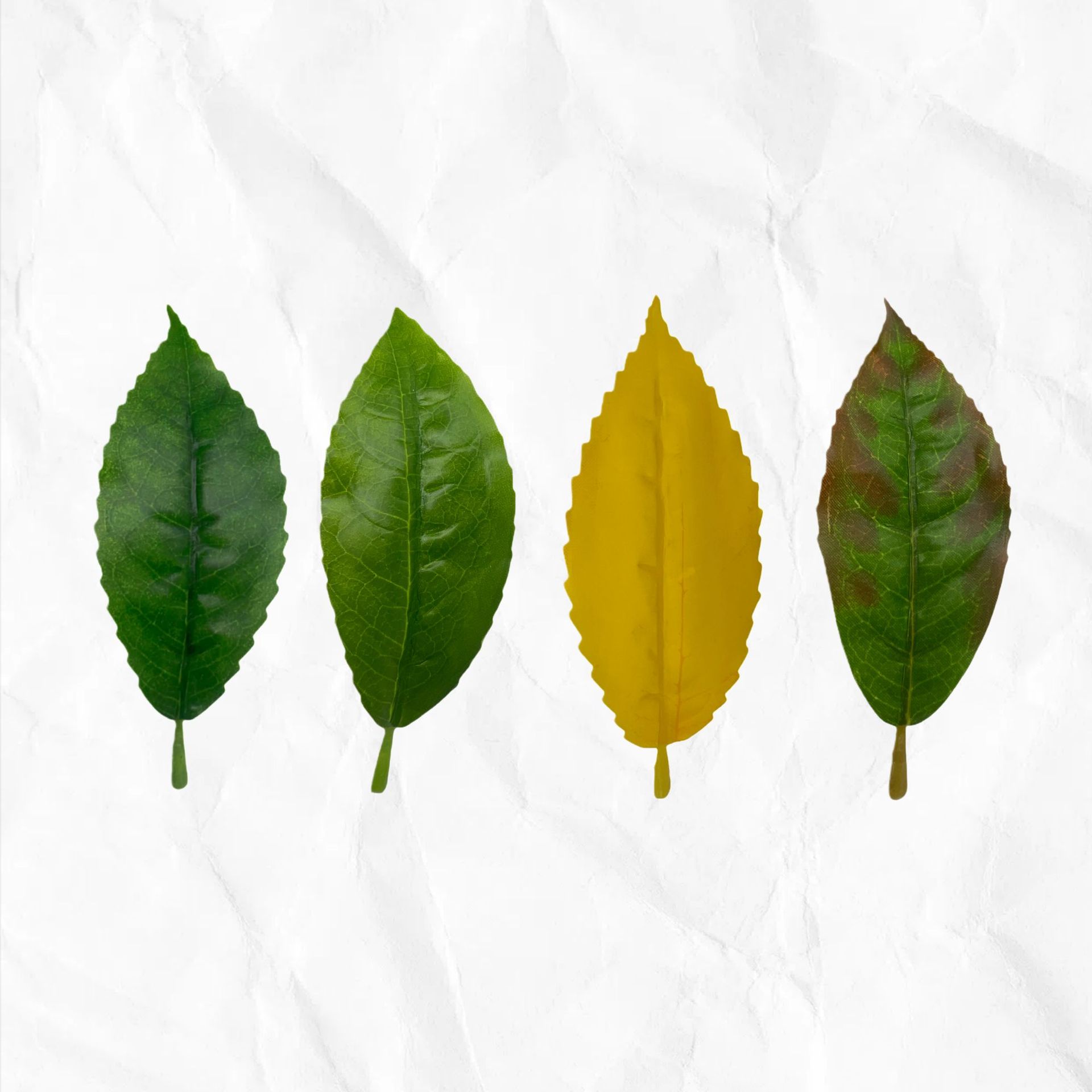 仿真红花油茶叶绿植单片毛尖茶叶绿茶大白茶红茶园林装饰摆设批发详情22