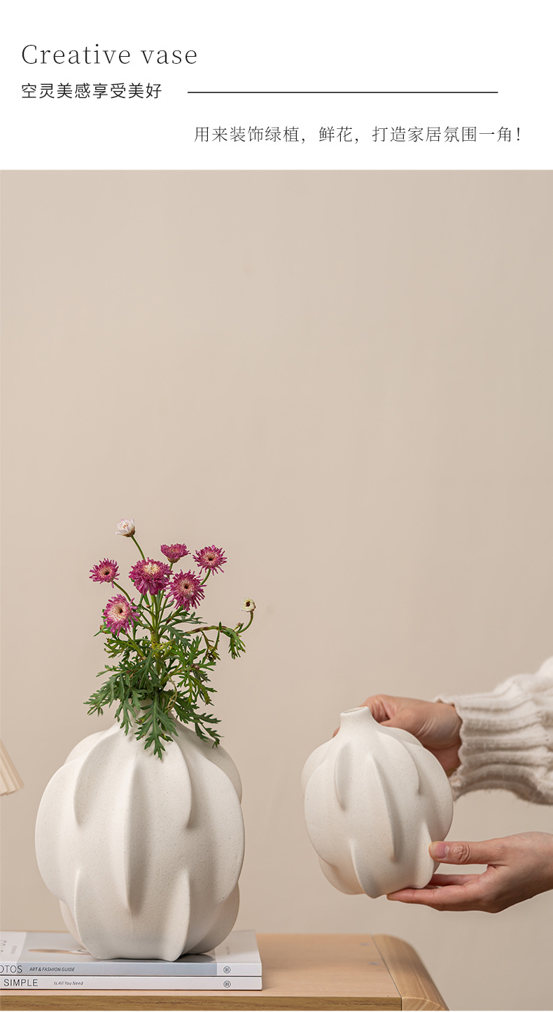 Cross-border wholesale and shipping of 2026 new ceramic vases, home hydroponic flower arrangements, tabletop and living room modern decorations pic 4