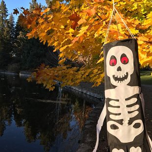 Cross-border Halloween background fabric 90*150 polyester, terrifying atmosphere, car trunk decoration banner, hanging flag pic 11