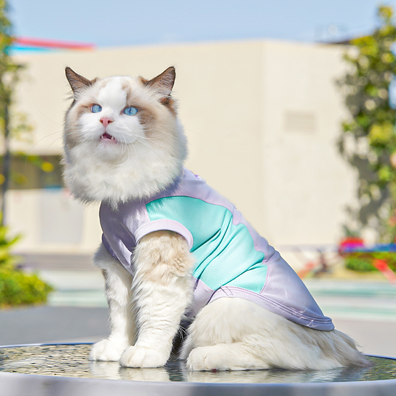 春夏季狗狗用品猫咪冰丝猫背心小中型犬外出防晒狗衣服宠物衣服详情33