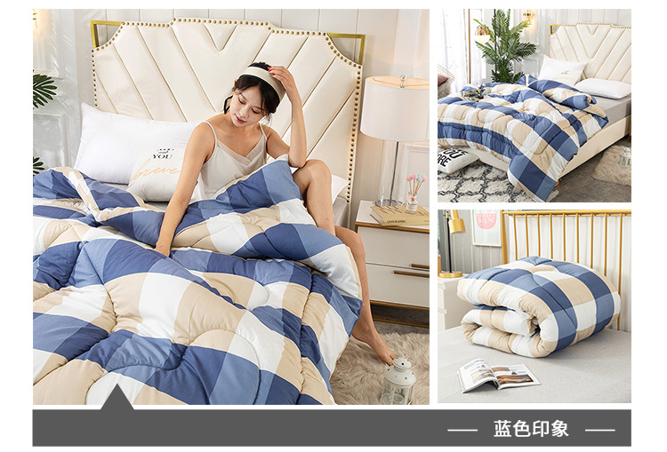 Wholesale of spring and autumn quilts, thickened and warm winter quilts, and single and double student winter quilts for all four seasons pic 26