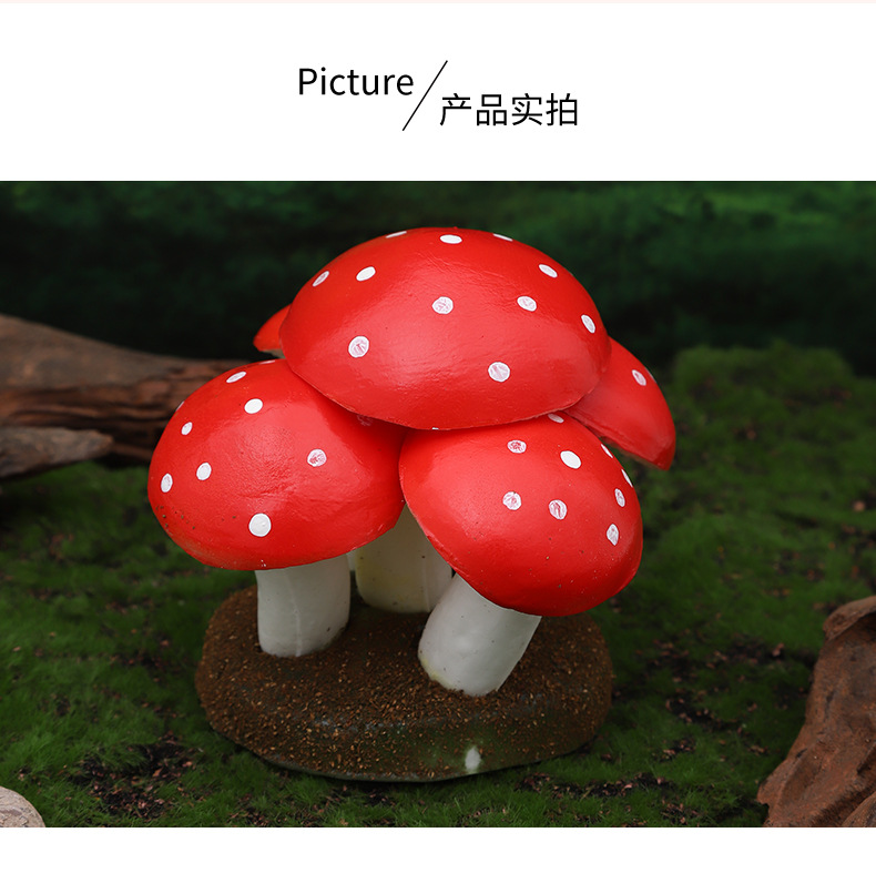 仿真白菜娃娃菜小白菜蔬菜橱柜早教摆件蔬菜道具玩具模型仿真果蔬食物道具详情7