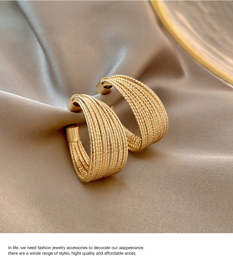 s925银针欧美夸张设计感耳圈2023年新款气质小众耳环网红轻奢耳饰详情9