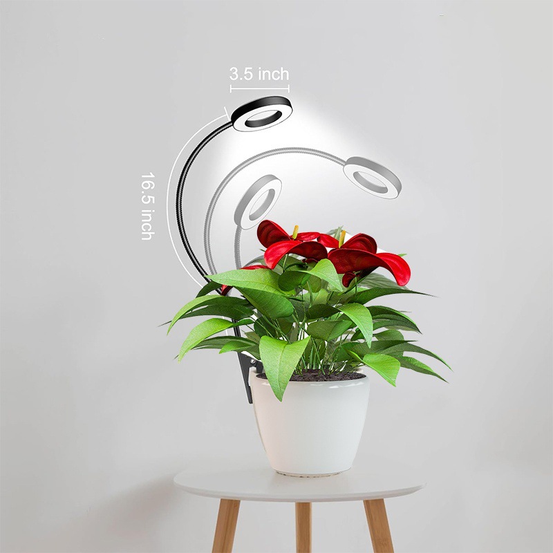 Flowerpot clamps, angel rings, plant growth lights, indoor seedling succulent supplementary lighting lights, LED full-spectrum plant lights pic 5