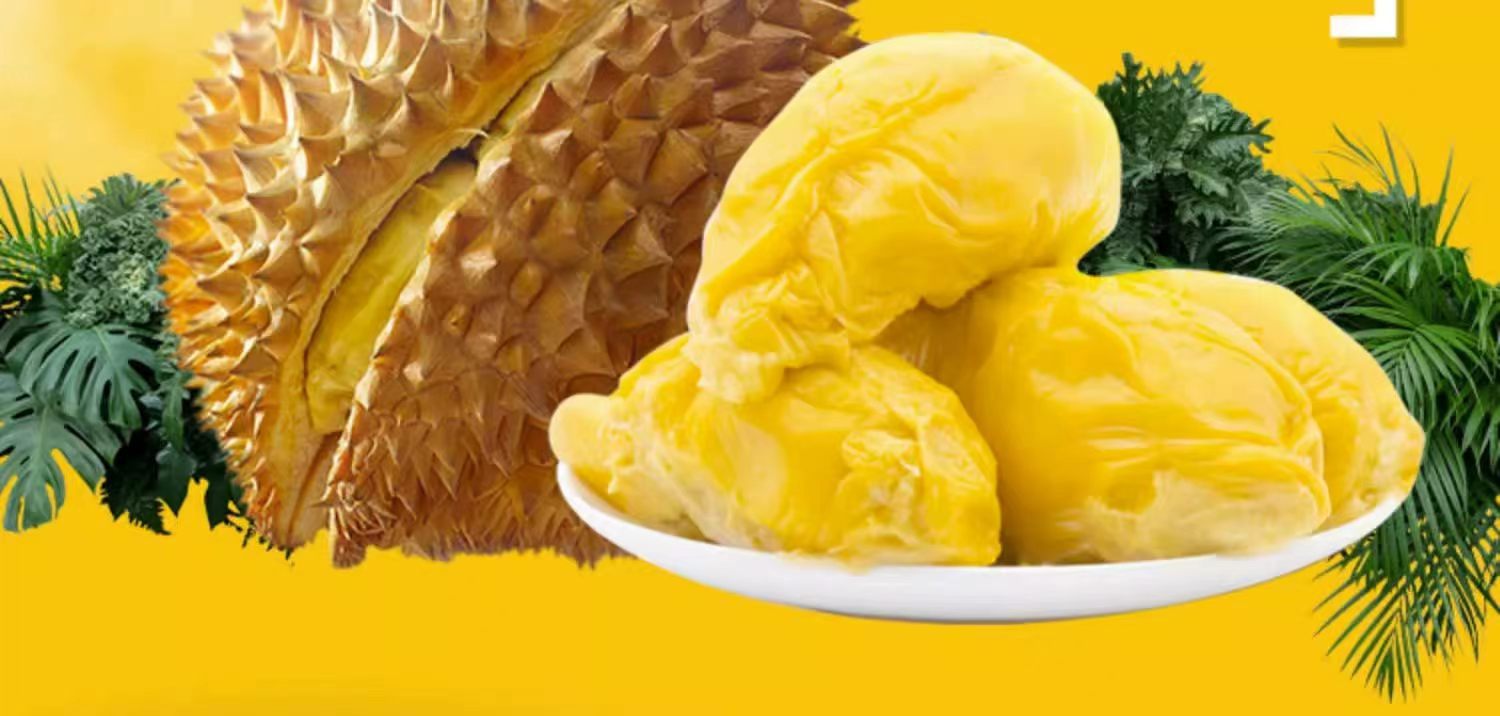 مثلجات مثلجات مثلجات آيس كريم آيس كريم آيس كريم دوريا كينس فراس، وهو من نوع دوريان pic 6