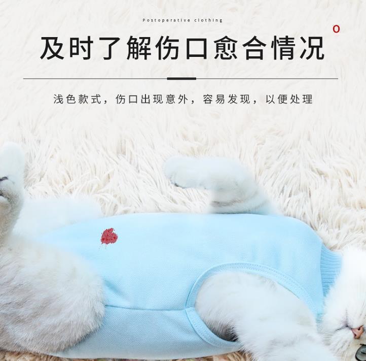 跨境亚马逊母猫透气绝育衣服断奶服猫术后防舔四季可用猫咪绝育服详情6