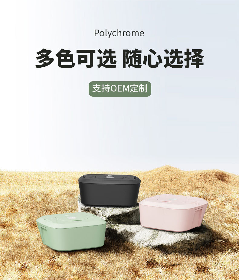Car insulated box, electric lunch box, small refrigerator, refrigeration refrigerator, 12v car refrigerator, 2l pic 13