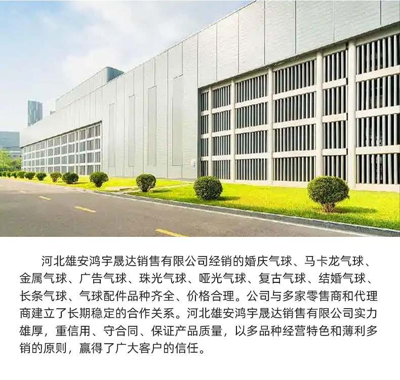 批发跨境热卖生日气球套装儿童生日婚礼庆典装饰氛围布置气球组合详情12