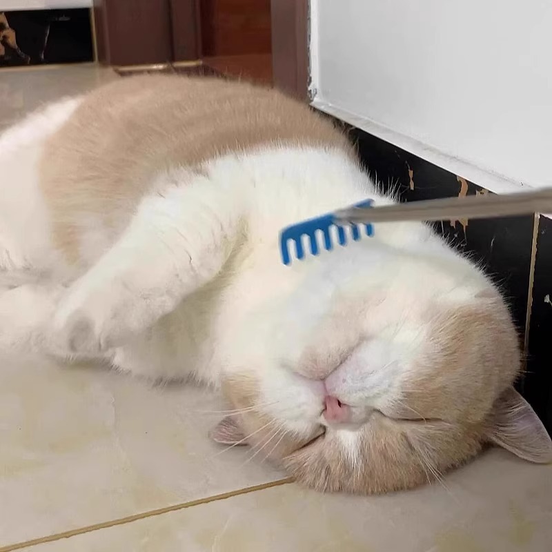 网红猫咪玩具可伸缩挠痒逗猫棒长杆按摩互动自嗨解闷神器猫咪用品详情3