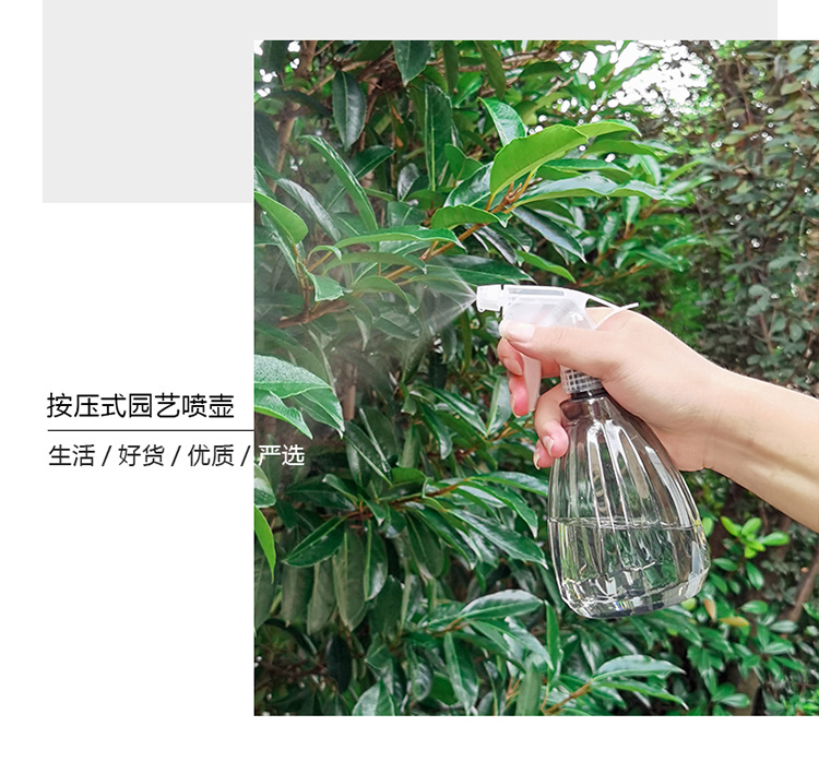 新款喷壶园艺花卉小喷壶浇花壶喷雾壶家用手压式喷水84消毒水喷瓶详情3