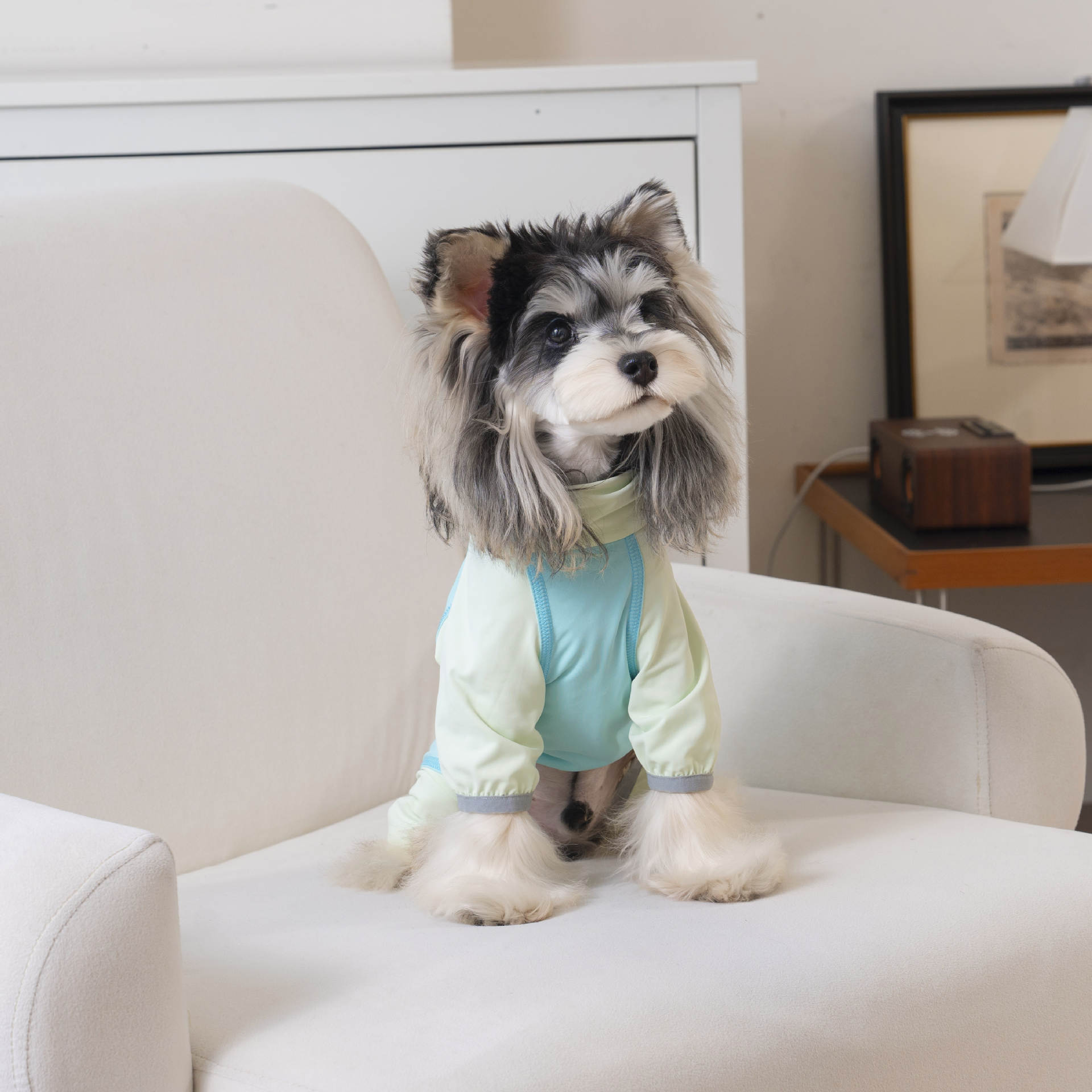 春夏新款小型犬四脚衣冰丝凉感服 泰迪比熊雪纳瑞宠物服装详情14