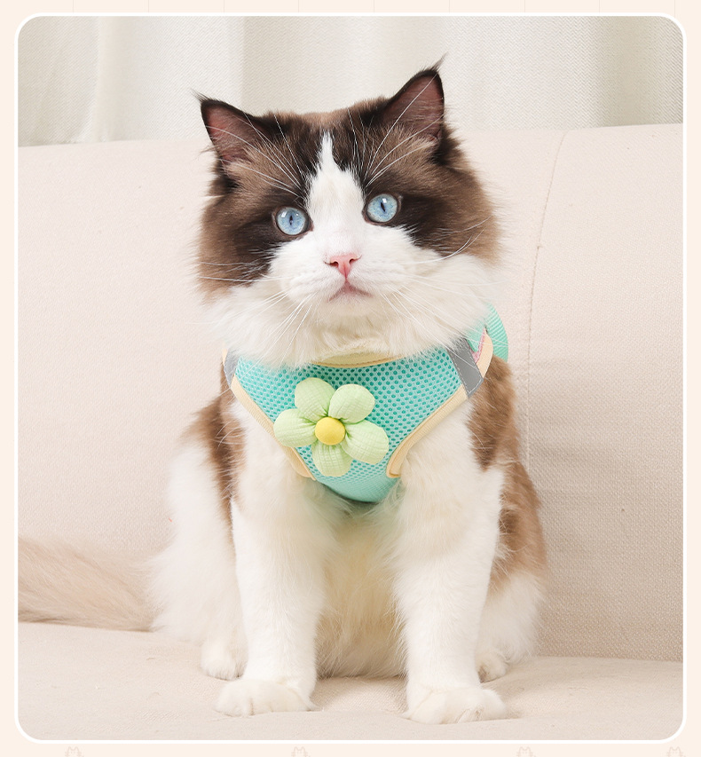 Nuevo estilo de cuerda de tracción de gato lindo pequeño tamaño perro pecho arnés tipo chaleco pet pecho espalda anti-liberación envoltura completa pic 15