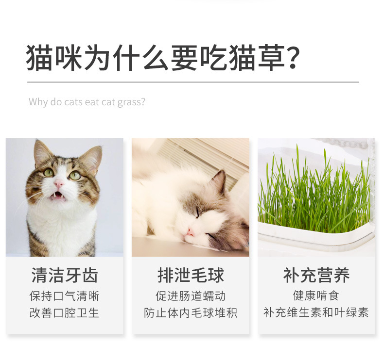 One-piece consignment cat automatic water dispenser, large cat bowl, integrated flowing water, no wet mouth, dog drinking water, cat grass, cat bowl pic 5