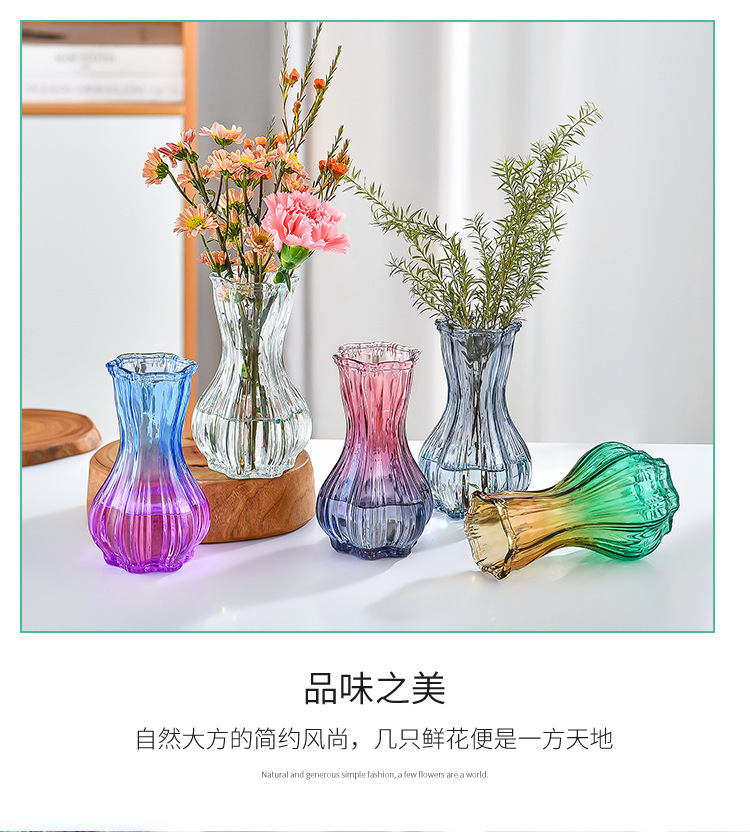 Nordic garlic-patterned glass vase with a transparent tabletop for living room decoration, ins style, high appearance level, dried fresh flower vase pic 6