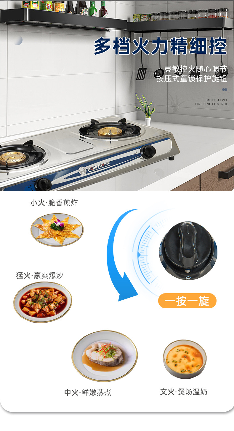 厂家跨境双眼燃气灶热销商用煤气灶不锈钢液化气炉具厨具批发销售详情8