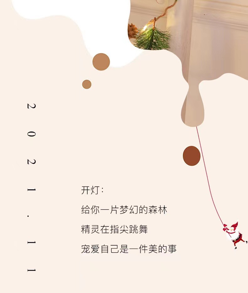 圣诞新款led铜线灯串红果松果松针圣诞藤条工艺灯节日庭院装饰灯详情18