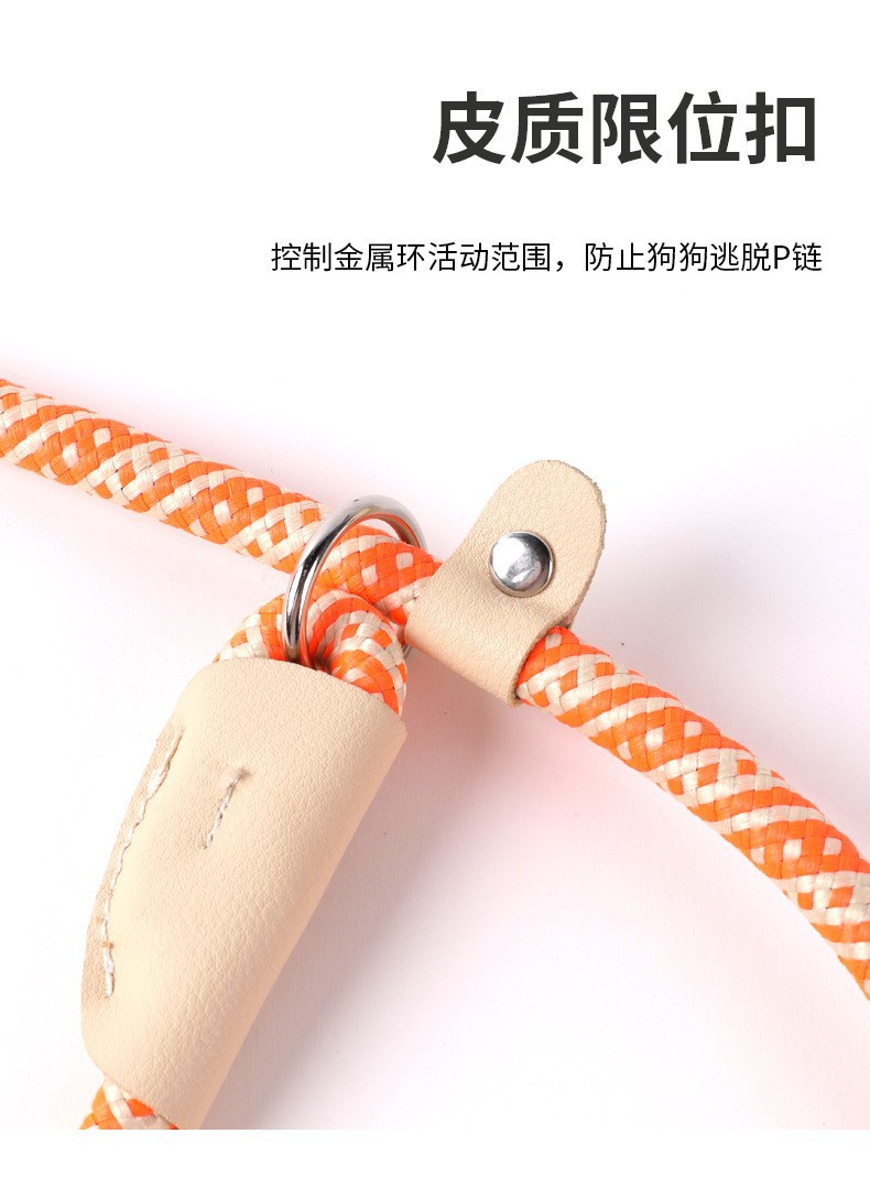 New cross-border pet leash for medium and large-sized dogs, universal safety dog chain, P-chain anti-loss dog walking leash pic 5