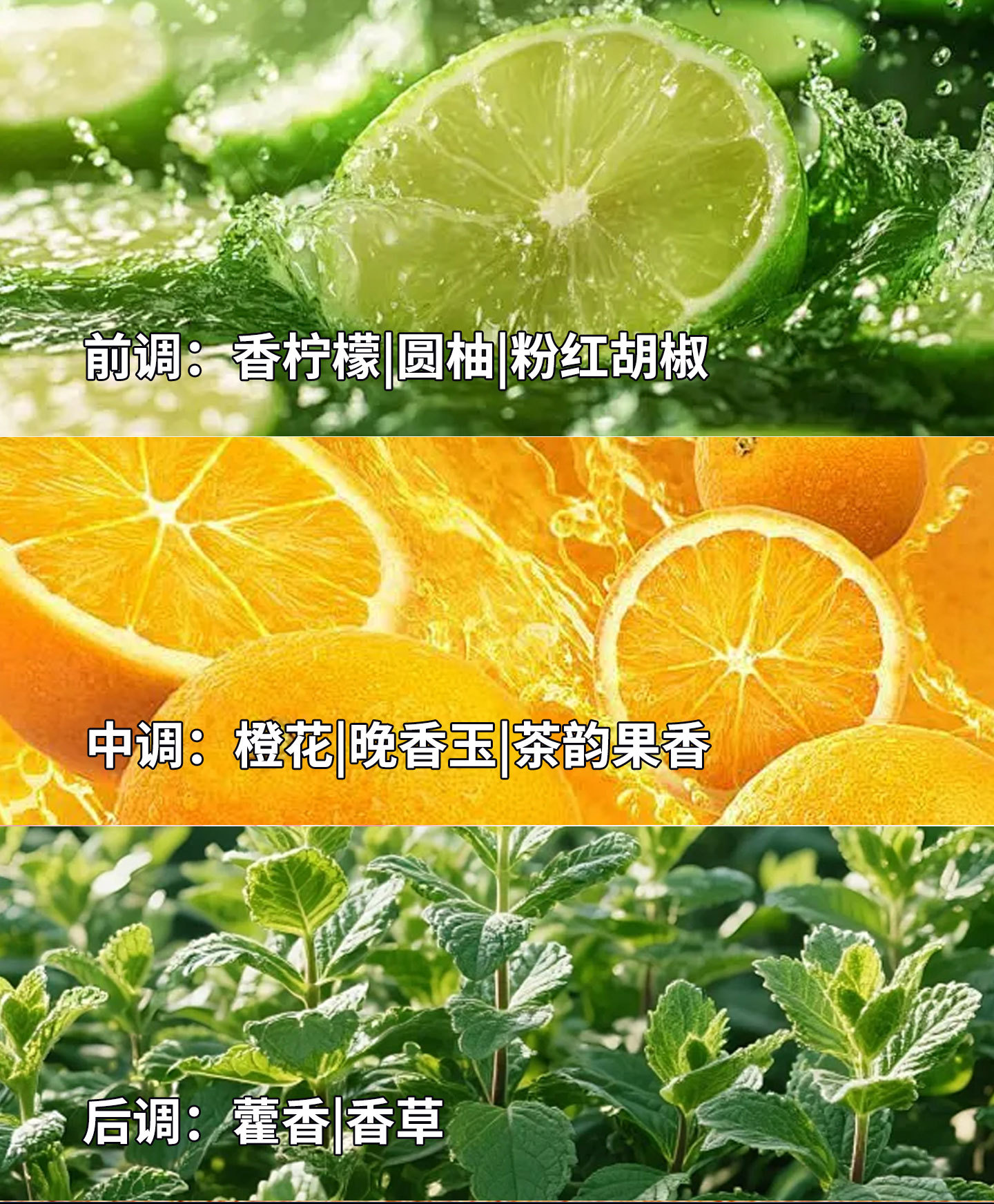 轻奢费洛蒙男士香水情趣香氛持久淡香约会私密发货电商爆款代发详情8