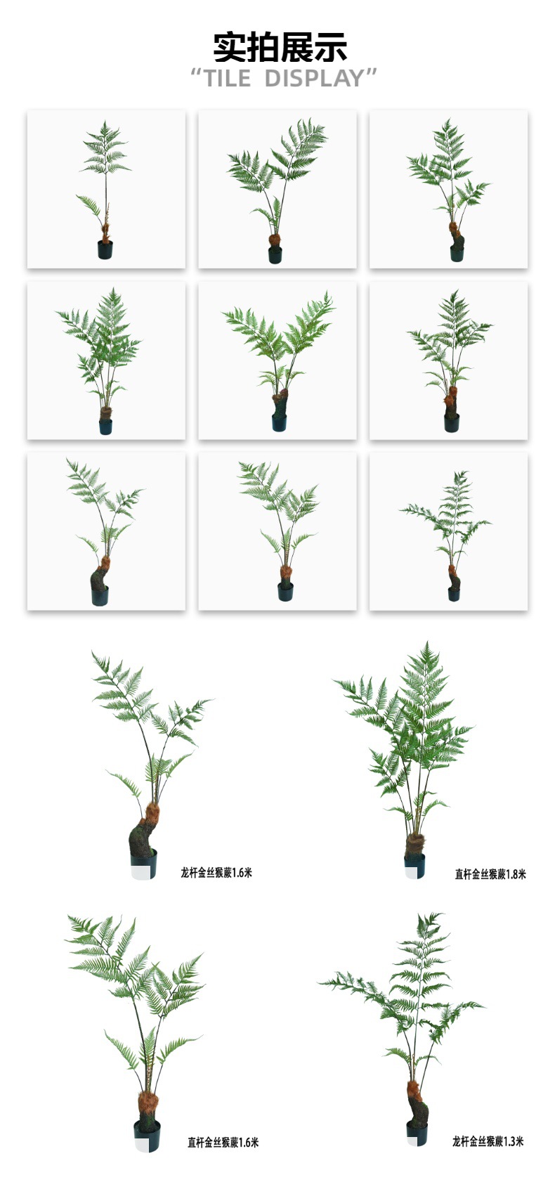 Helecho del mono simulado helecho del perro de pelo dorado en maceta helecho de una hoja hierba turva persa árbol falso estilo chino interior zen paisaje pic 2