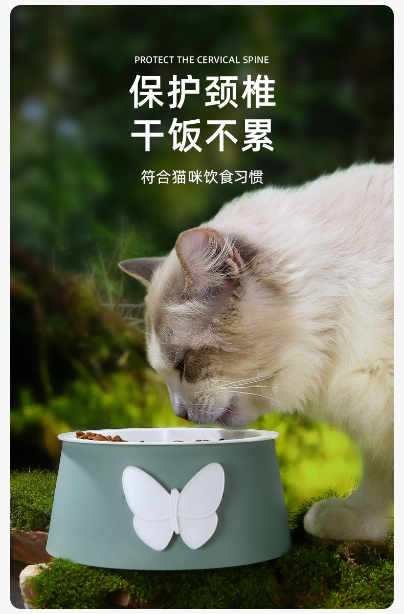 宠物卡通猫碗护颈椎狗狗食具防打翻食品级材质狗碗防陶瓷宠物碗详情2