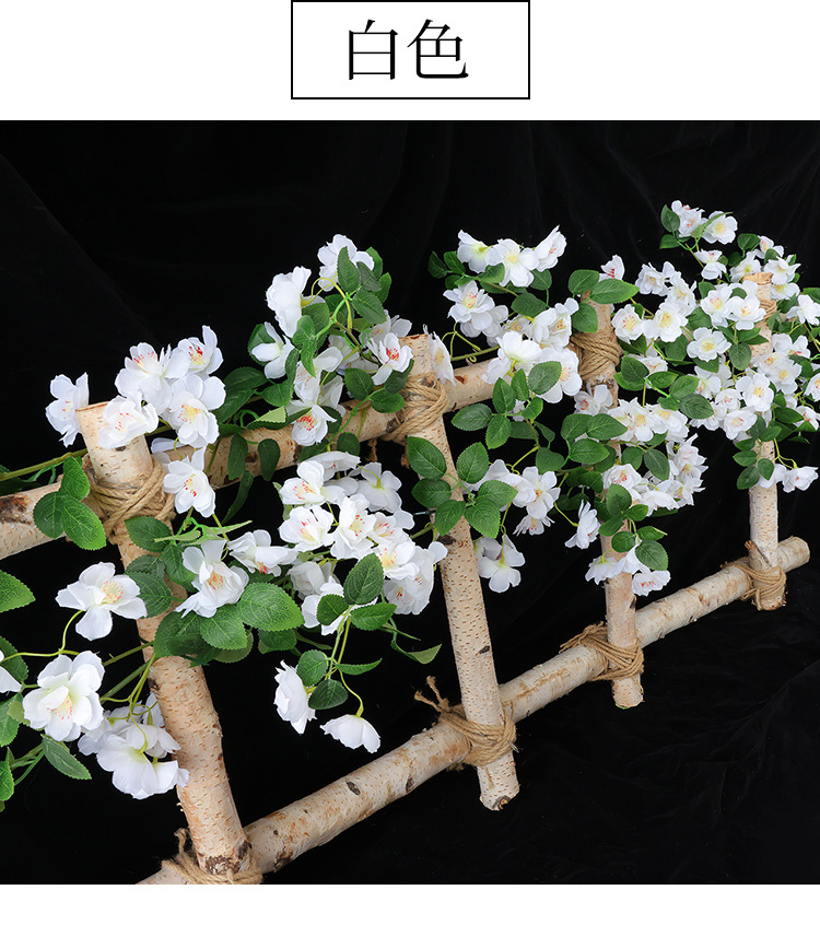 樱花_22.jpg