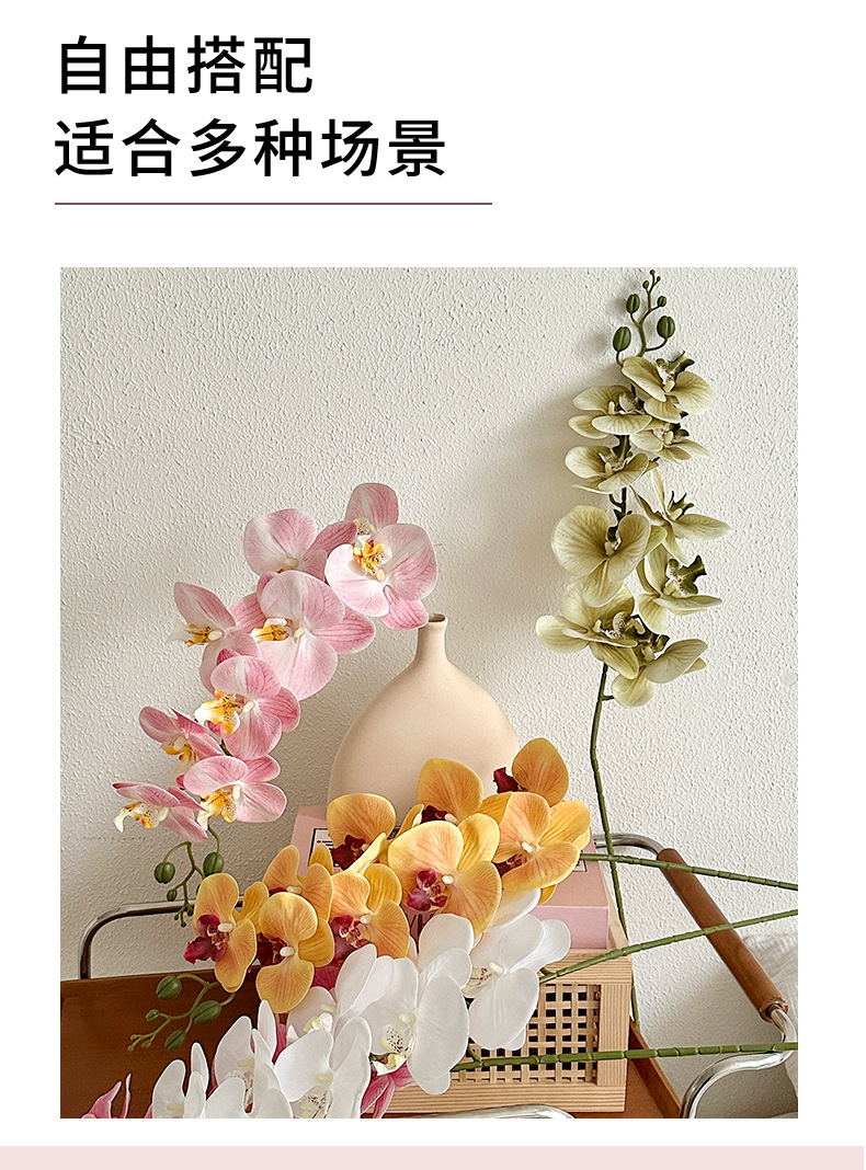 9头胶片蝴蝶兰仿真花轻奢手感假花客厅餐桌玄关摆件婚房布置装饰详情2