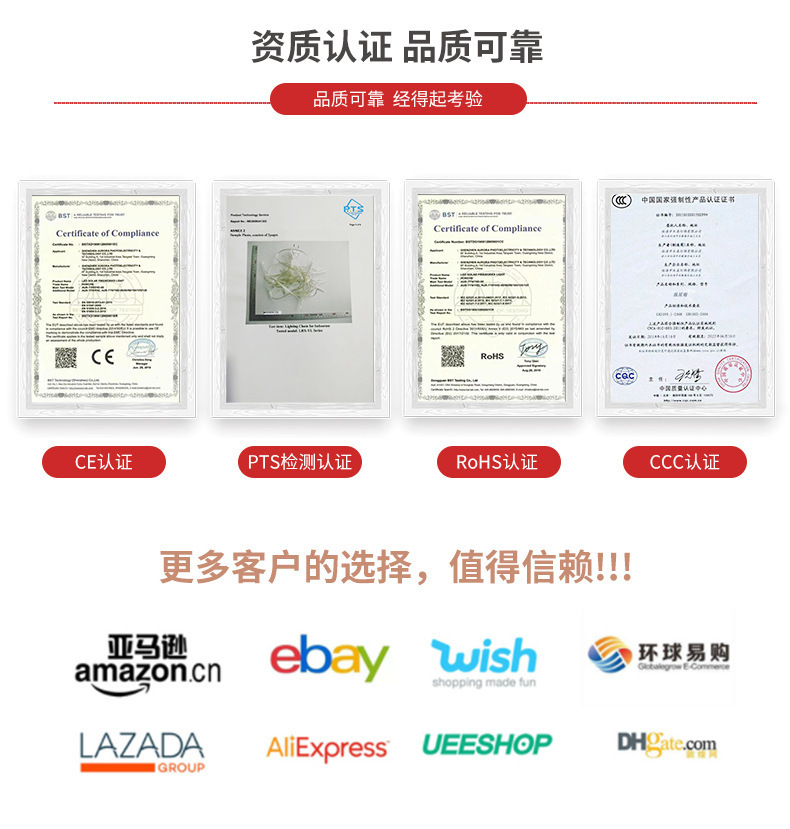2024亚马逊新款圣诞LED灯串场景布置氛围装饰8功能带遥控皮线彩灯详情31